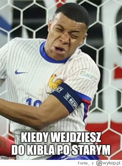 Fortis_ - #mecz #euro #heheszki