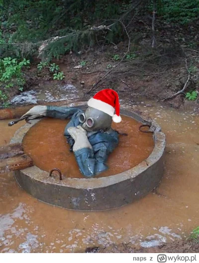 naps - No dobra, lista prezentów się tworzy. Trzeba jeszcze rzucić okiem na mirko moj...