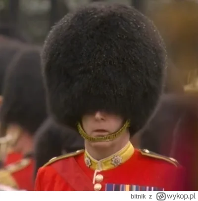 bitnik - ziom nie moge ci pomóc, mam duzo na głowie
#koronacja #uk