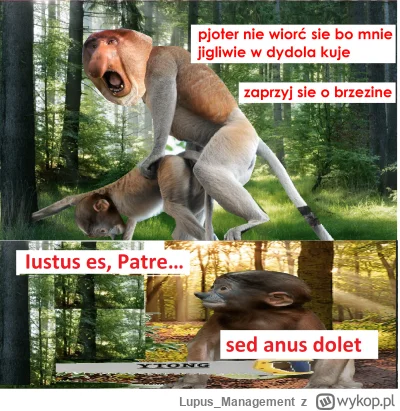 Lupus_Management - #konkursnanajbardziejgownianymemznosaczem #sprawiedliwosc