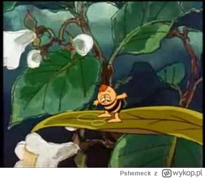 Pshemeck - #muzyka #klasyka #gimbynieznajo #bajki #wodecki #70s #pszczolkamaja