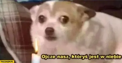 Nobody32 - Kiedy rolnik zalogował się na wykop z nadzieją, że dowie się czegoś ciekaw...