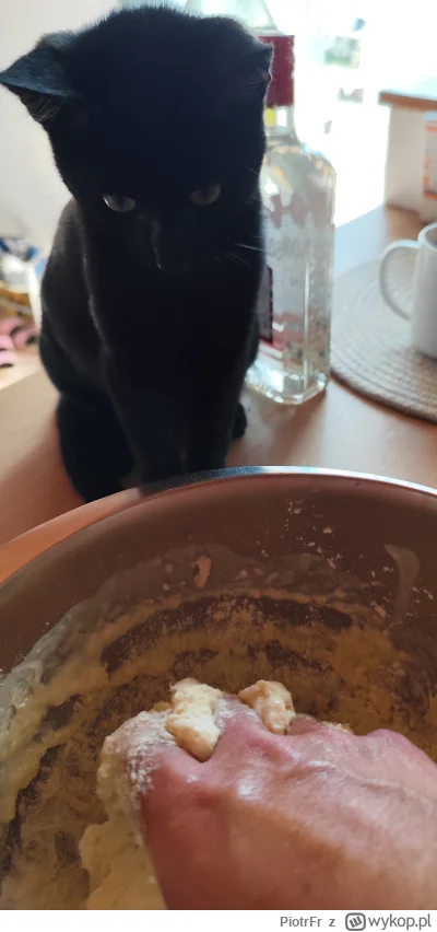 PiotrFr - Szef pilnuje czy jest w zgodzie z AVPN ( ͡° ͜ʖ ͡°)

#pizza #pokazkota