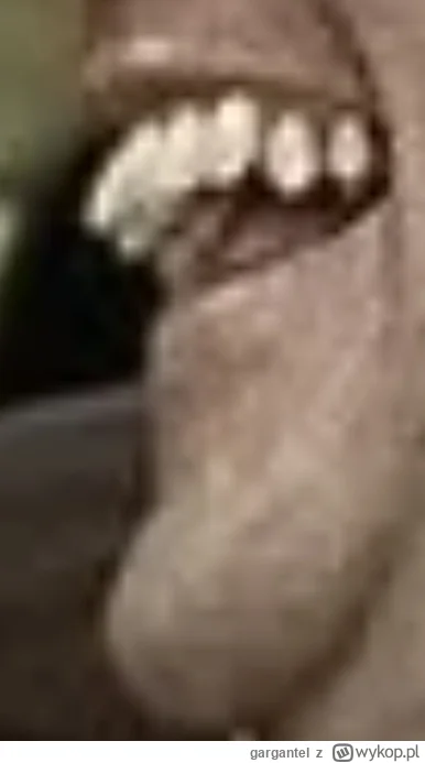 gargantel - @Luckless: coś tu jest nie tak temu panu