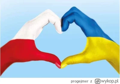 progejmer - Nikt normalny nie jest przeciw pomocy bo wiadomo co będzie jak Ukraina up...