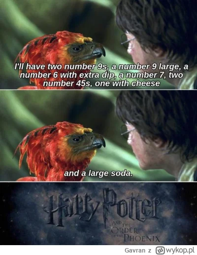 Gavran - Zamówienie Feniksa mówicie...

#harrypotter