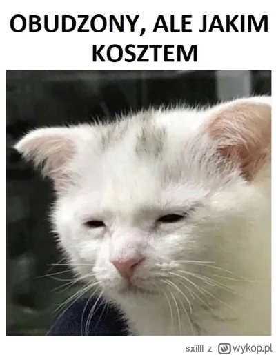 sxilll - #pracbaza #dziendobry