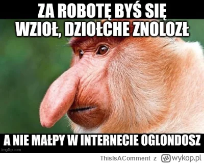 ThisIsAComment - @czadowykuba: