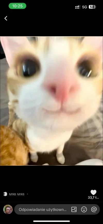 klaudia-hadalala - Chciałbym skorzystać z nadzwyczajnego złagodzenia kary określonego...