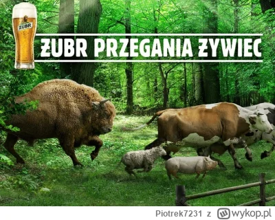 Piotrek7231 - #mecz Brawo Puszcza