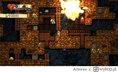 Arboree - Jeden jedyny run w Spelunky, bez użycia JetPacka i bez strzelania do sklepi...