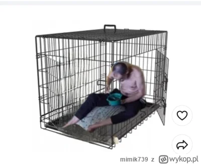 mimik739 - #danielmagical 

@oficjalnyhejter12 

Czy ty wiesz, ze nasz kochany aniołe...