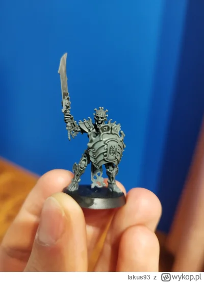 lakus93 - Cześć, zawsze do malowania figurek z gier planszowych wystarczyło mi, że kł...