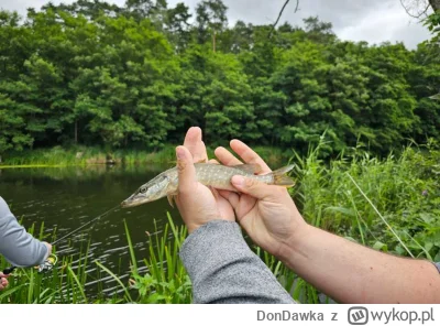 DonDawka - Dzisiejsza zdobycz, kotek byłby zadowolony...
Noteć dzisiaj nic nie oddała...