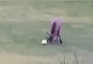 KurierInpost - #lewandowski na treningu