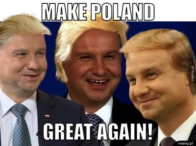 deiceberg - #polska #polityka #tvpiscodzienny