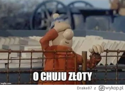 Drake87 - @ChlopoRobotnik2137