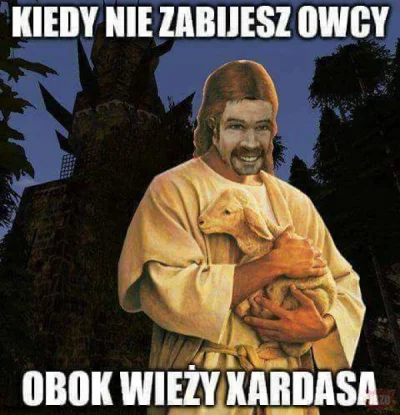 Sandrinia - @sandal: jak same atakują to nie ma wyjścia, ale jak są gdzieś tam i sobi...