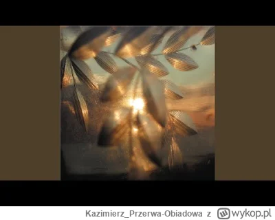 Kazimierz_Przerwa-Obiadowa