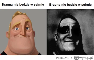 Pepe9248 - #wybory