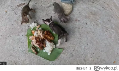 dizel81 - Czyli kolejni więźniowie przymusowi w KL KlapkenHausen.
Nie powiem inaczej ...