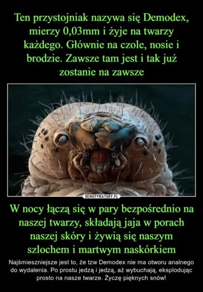 KW23 - #heheszki #humorobrazkowy #ciekawostki #sen