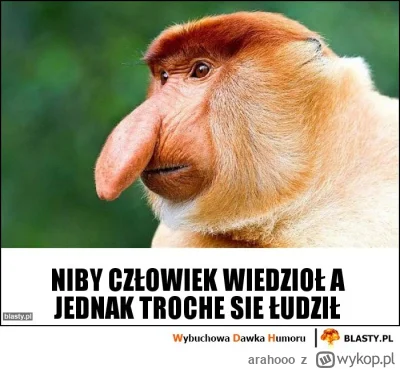 arahooo - Nowy wykop. Niby wiedziałeś, że tak będzie, ale i tak jesteś trochę zawiedz...
