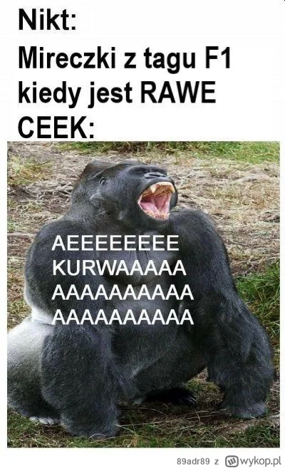 89adr89 - Wszyscy razem, cisza nocna za nami ( ͡° ͜ʖ ͡°)
#f1