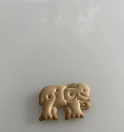 kolorowy_monochrom - Z dziwnych rzeczy to dziś poczęstowano mnie ciastkami w zwierzak...