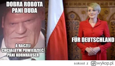 sokool - #bekazpisu #polityka #sejm #duda #tusk