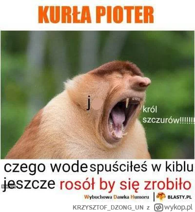 KRZYSZTOFDZONGUN - Normalny dzień w normalnej polskiej patologicznej rodzinie.

#konk...