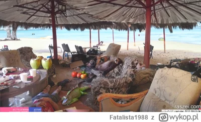 Fatalista1988 - Raszei lost in paradise #danielmagical #patostreamy #famemma #primemm...