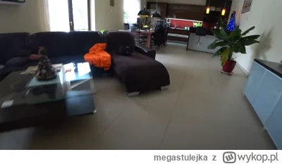 megastulejka - Blachareczka waletuje u puszystego lekko ponad 6 lat, a w bunkrze mied...