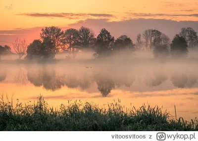 vitoosvitoos - Jak zdejmowałem rower z bagażnika to zastałem taki widok (｡◕‿‿◕｡)
#com...