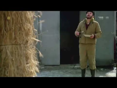 Corvus_Frugilagus - @gabrysianowa: