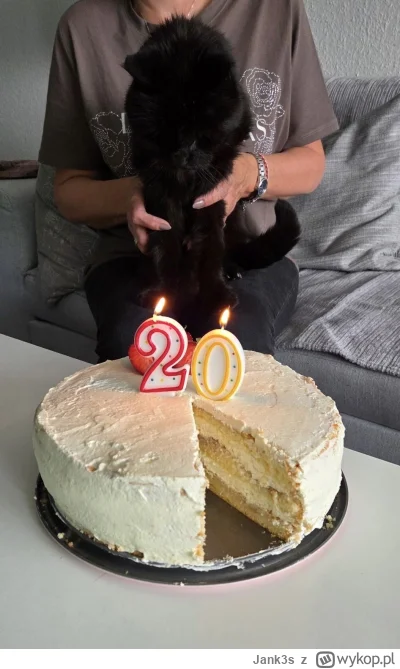 Jank3s - #pokazkota 

Świętujcie 20 urodziny Sylwestra razem ze mną (｡◕‿‿◕｡)

Szmat c...
