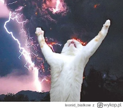 leonid_bialkow - @annlupin: ha!