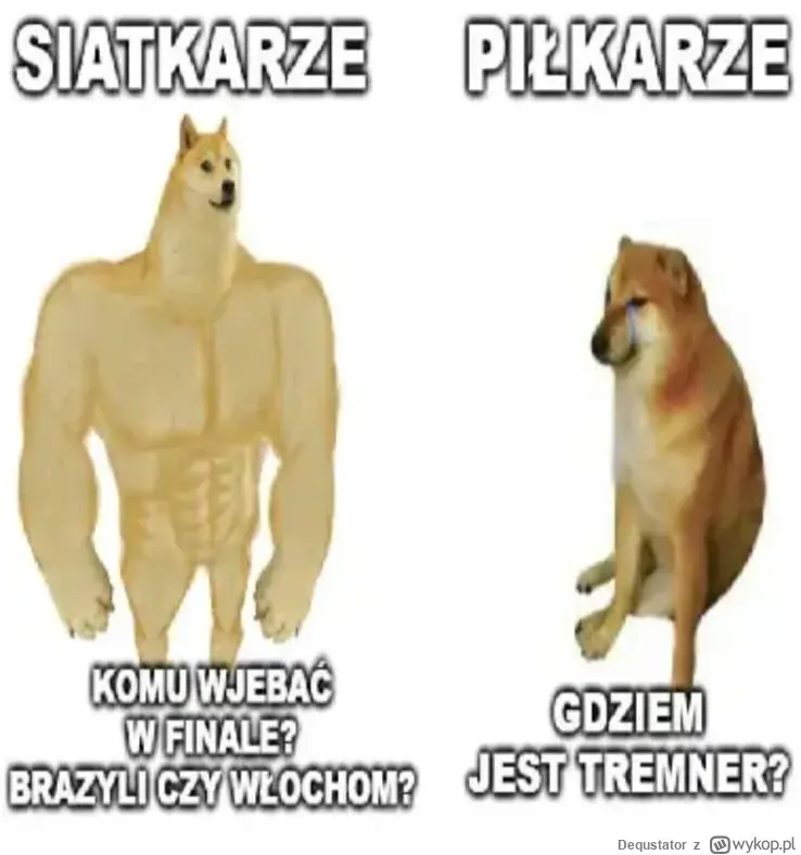 mamracjewieszotym - #siatkowka rozwalili brazoli teraz Włochów. No naprawdę siatkówka...