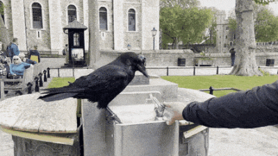 Corvus_Frugilagus - Dobranoc wszystkim i życzę miłej niedzieli.