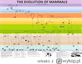 orkako - https://www.reddit.com/media?url=https%3A%2F%2Fi.redd.it%2F1tjq9jzes2n41.jpg...