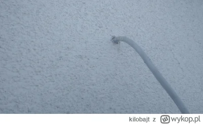 kilobajt - Planuje przesunąć o kilkanaście cm kabel.
Czym i jak odtworzyć tynk, żeby ...