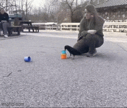 Corvus_Frugilagus - Dobranoc wszystkim i życzę miłej niedzieli.