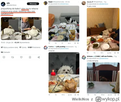 WielkiNos - Jak tam po wigilii? Jedliście z psami siedzącymi przy stole barszcz tą sa...