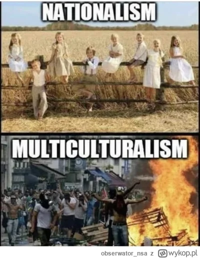 obserwator_nsa - Takie są "zalety" multikulturalizmu ( ͡° ͜ʖ ͡°)