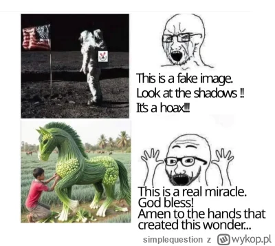 simplequestion - #chatgpt #sztucznainteligencja  #heheszki