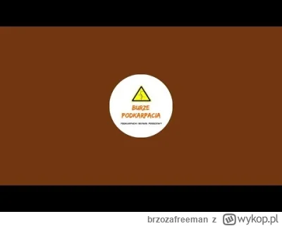 brzozafreeman - bardzo fajna relacja w tym momencie
#burza