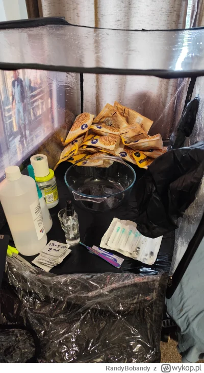 RandyBobandy - Pierwsza próba wychodowania grzybów metodą "Uncle Ben's Tek", nie wiem...