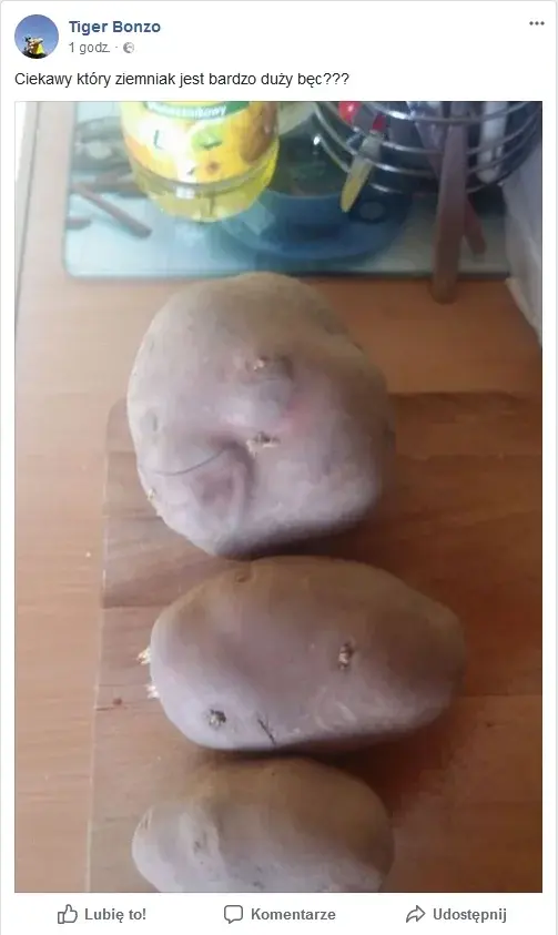 magister-coachingu - @wyhodek666: Łap finie benc