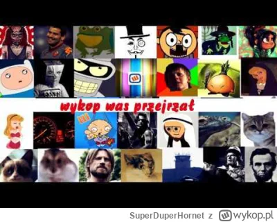 SuperDuperHornet - Usunęli konta na Instagramie XD @BananowyKrol