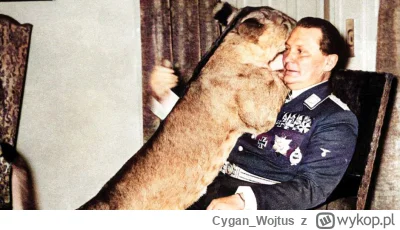 CyganWojtus - @CyganWojtus